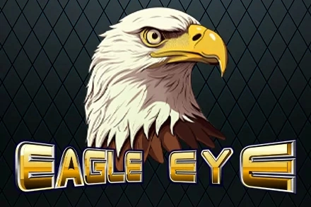 08642 eagle eye